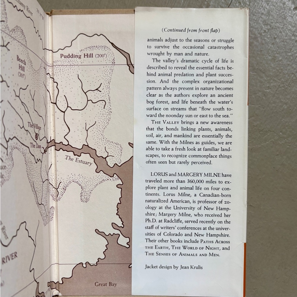 Signed 1963 The Valley Meadow Grove Stream Durham NH Oyster River New Hampshire - Picture 12 of 13